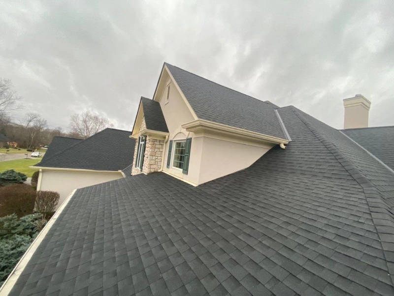 Siding Repair image Gallery 20