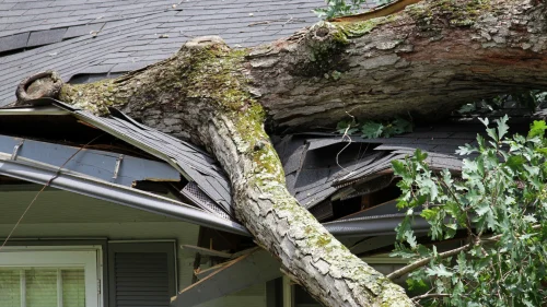 Storm Damage Roof Inspections